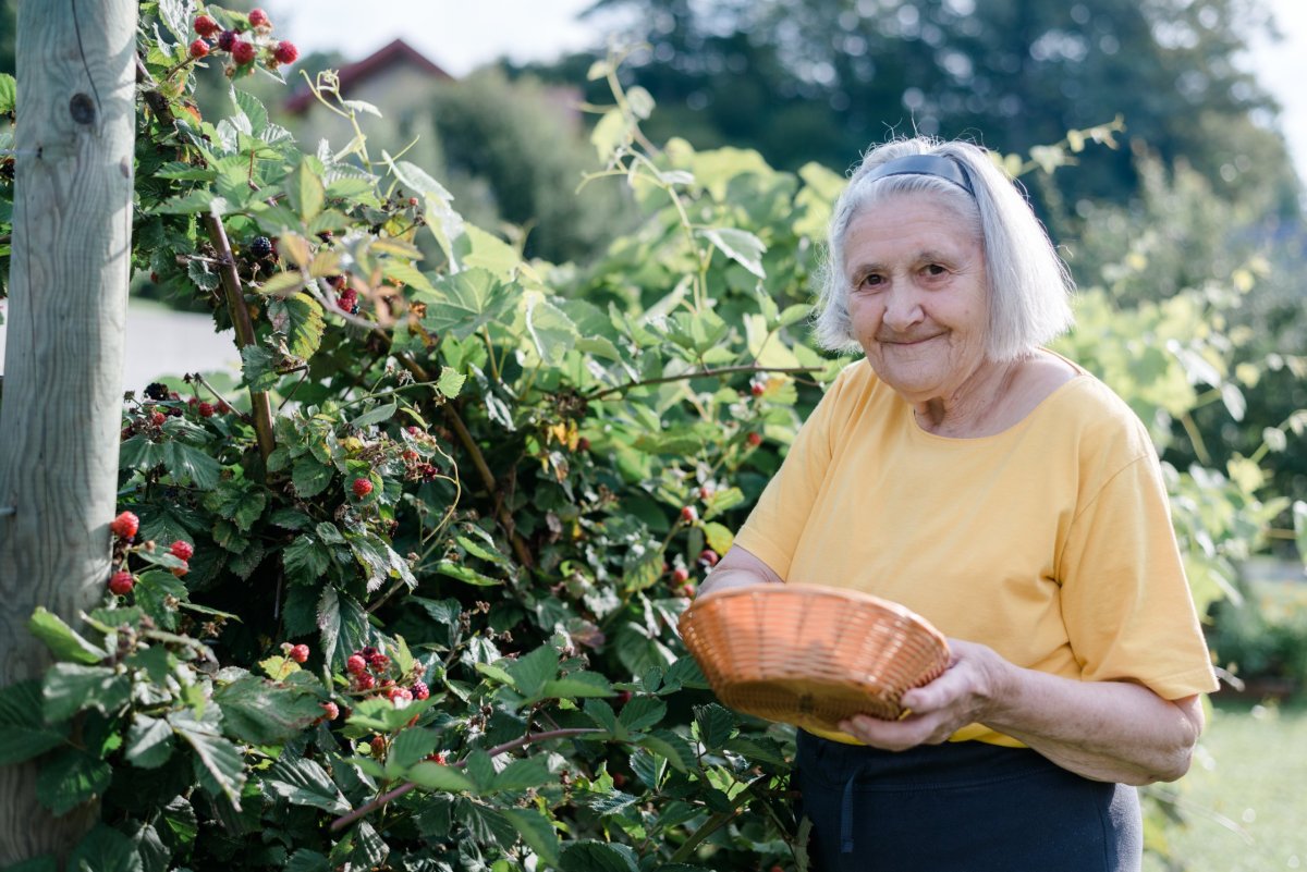 Arnoldstein Pflegezentrum_2017_08_027